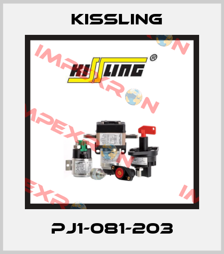 PJ1-081-203 Kissling