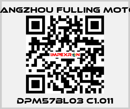 DPM57BL03 C1.011 Changzhou Fulling Motor