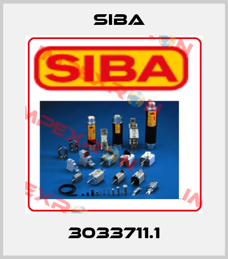 3033711.1 Siba