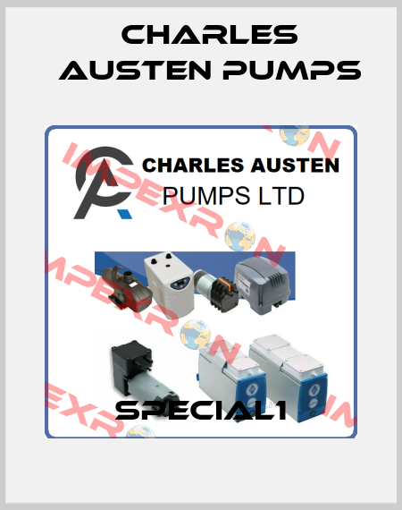 SPECIAL1 Charles Austen Pumps