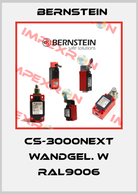 CS-3000NEXT WANDGEL. W RAL9006 Bernstein