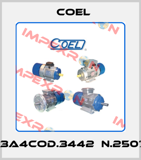 H63A4cod.3442　N.250713 Coel