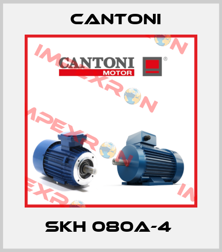 SKH 080A-4  Cantoni