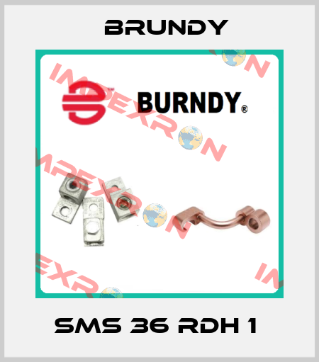 SMS 36 RDH 1  Brundy