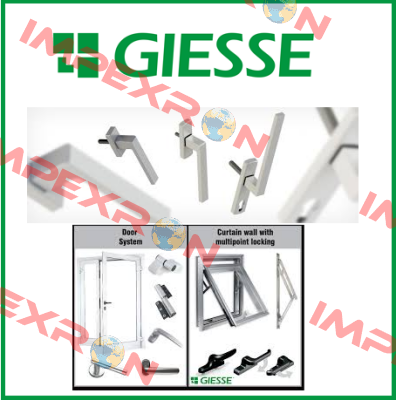 011702 GIESSE