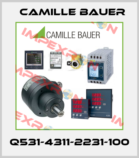 Q531-4311-2231-100 Camille Bauer