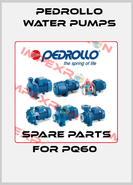 SPARE PARTS FOR PQ60  Pedrollo Water Pumps