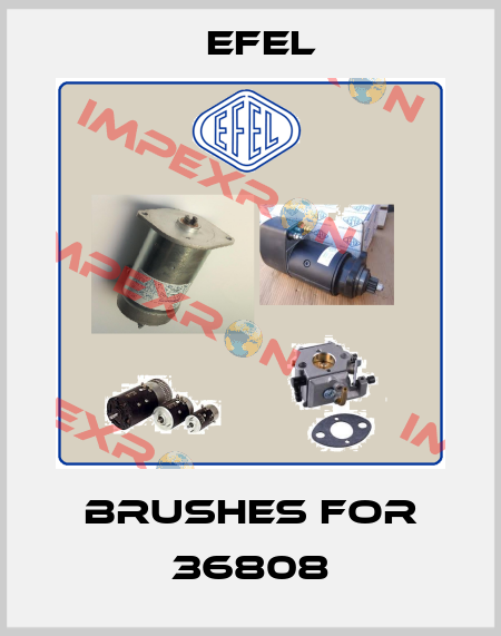 brushes for 36808 Efel