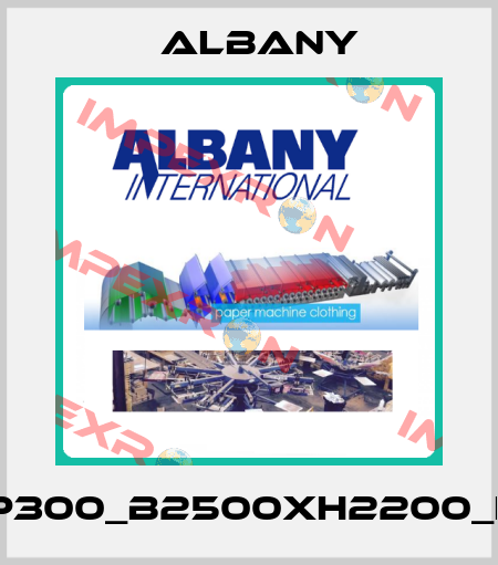RP300_B2500xH2200_LH Albany