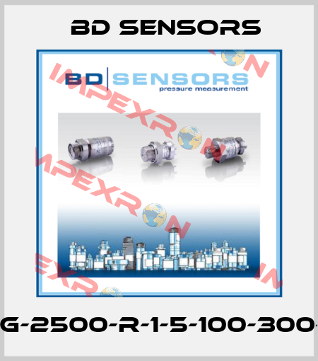 18.601G-2500-R-1-5-100-300-1-000 Bd Sensors