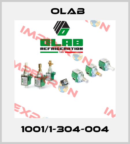 1001/1-304-004 Olab