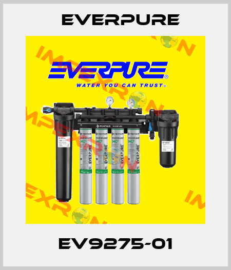 EV9275-01 Everpure