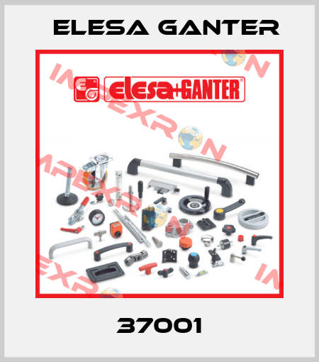 37001 Elesa Ganter