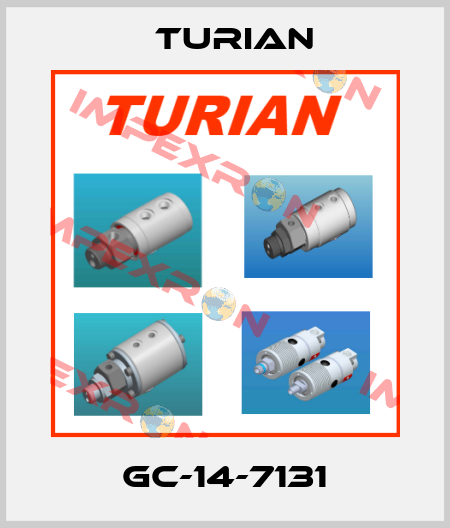 GC-14-7131 Turian