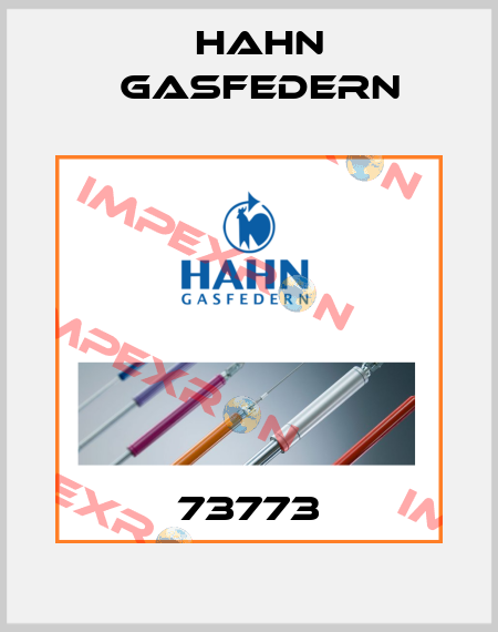 73773 Hahn Gasfedern