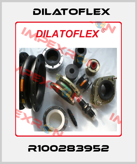 R100283952 DILATOFLEX