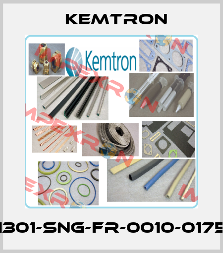 1301-SNG-FR-0010-0175 KEMTRON