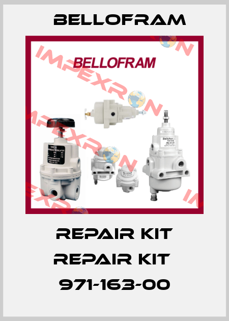 Repair kit Repair kit  971-163-00 Bellofram