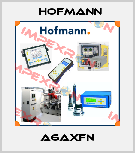 A6AXFN Hofmann