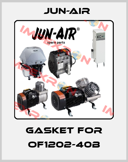 gasket for OF1202-40B Jun-Air