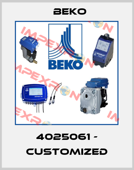 4025061 - customized Beko
