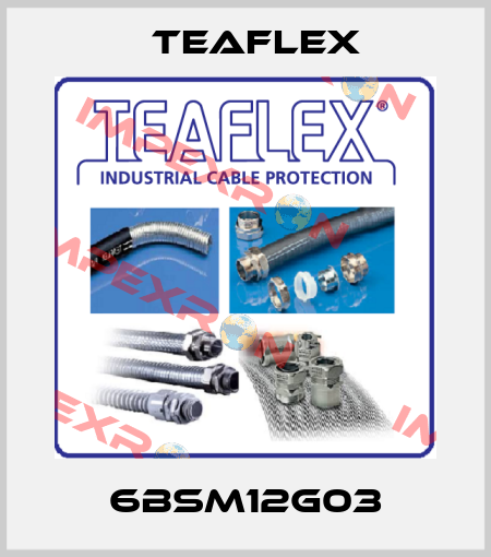 6BSM12G03 Teaflex