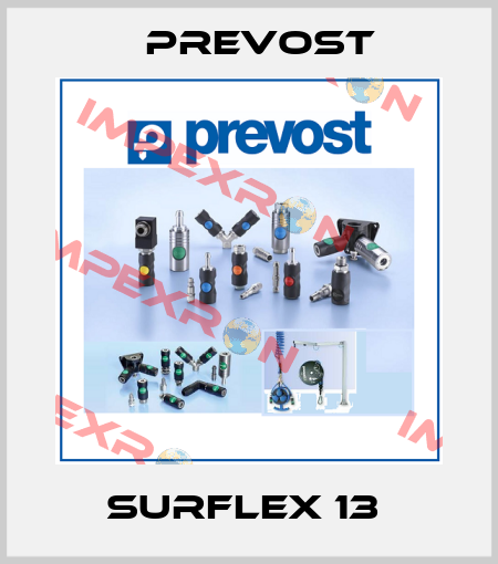 SURFLEX 13  Prevost