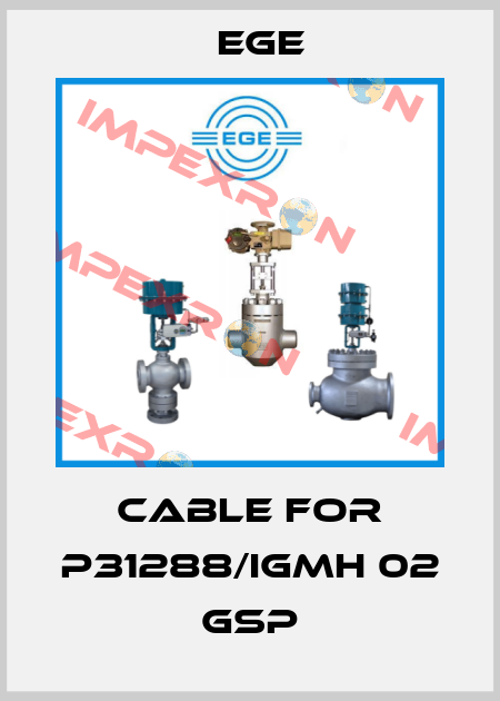 cable for P31288/IGMH 02 GSP Ege