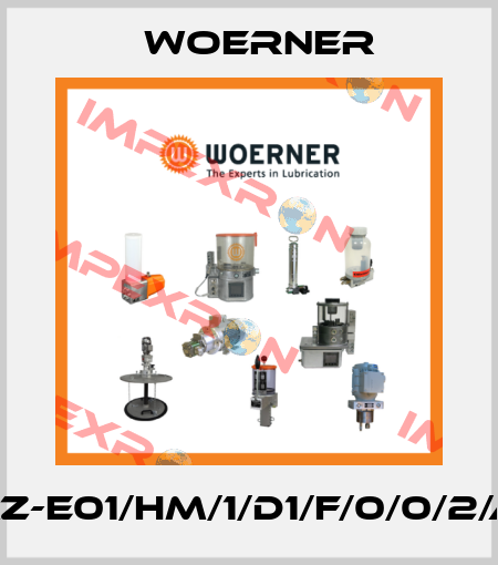 GMZ-E01/HM/1/D1/F/0/0/2/A/0 Woerner