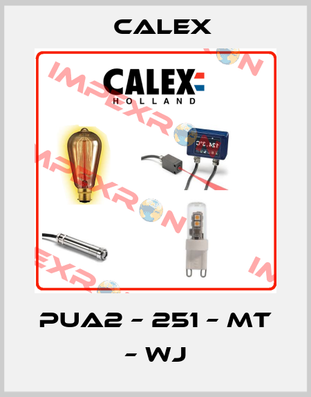 PUA2 – 251 – MT – WJ Calex