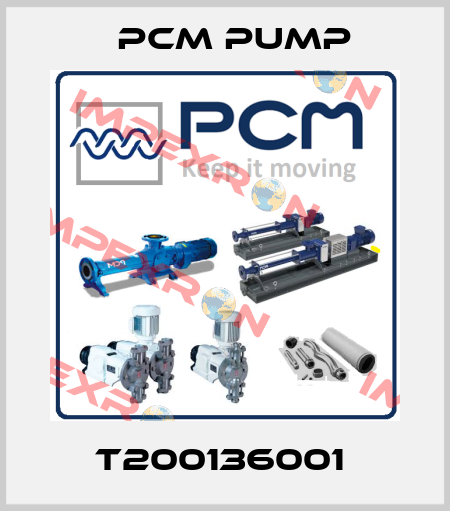 T200136001  PCM Pump