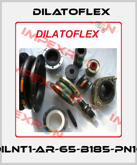 DILNT1-AR-65-B185-PN16 DILATOFLEX