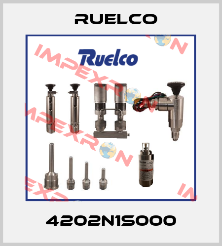 4202N1S000 Ruelco