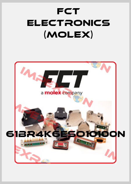 61BR4K6ESO10100N FCT Electronics (Molex)