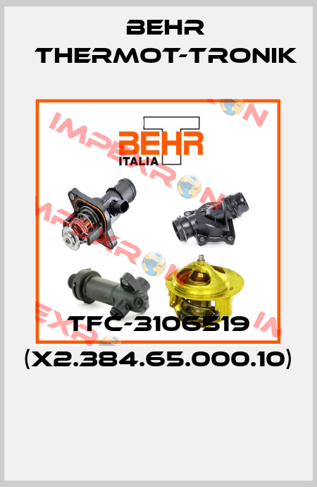 TFC-3106519 (X2.384.65.000.10)  Behr Thermot-Tronik