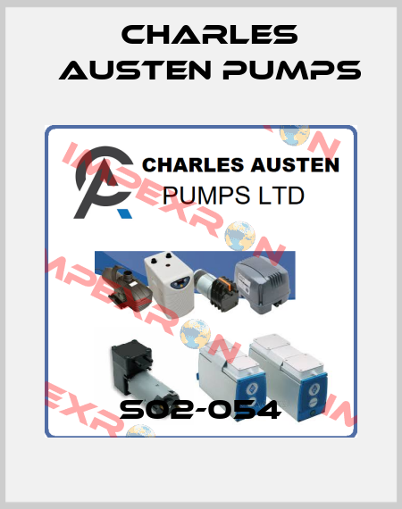 S02-054 Charles Austen Pumps