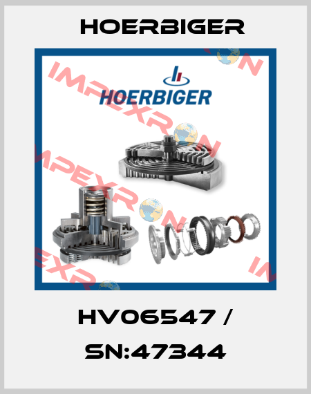 HV06547 / Sn:47344 Hoerbiger