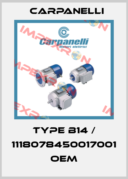 Type B14 / 1118078450017001 OEM Carpanelli