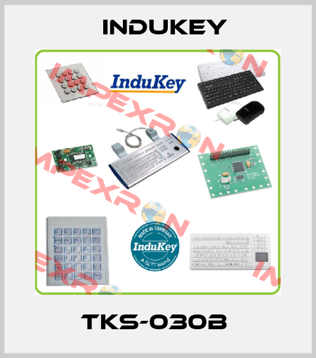 TKS-030B  InduKey