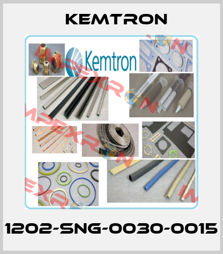 1202-SNG-0030-0015 KEMTRON