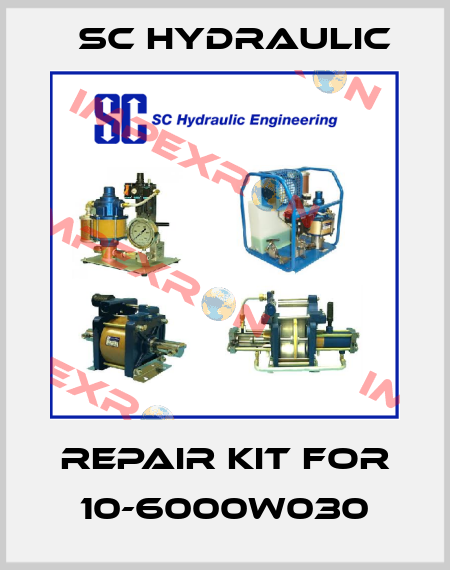 repair kit for 10-6000W030 SC Hydraulic