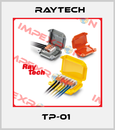 TP-01  Raytech