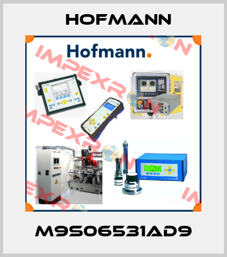 M9S06531AD9 Hofmann