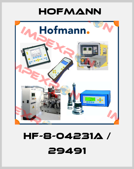 HF-8-04231A / 29491 Hofmann