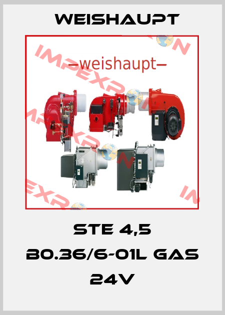 STE 4,5 B0.36/6-01L GAS 24V Weishaupt