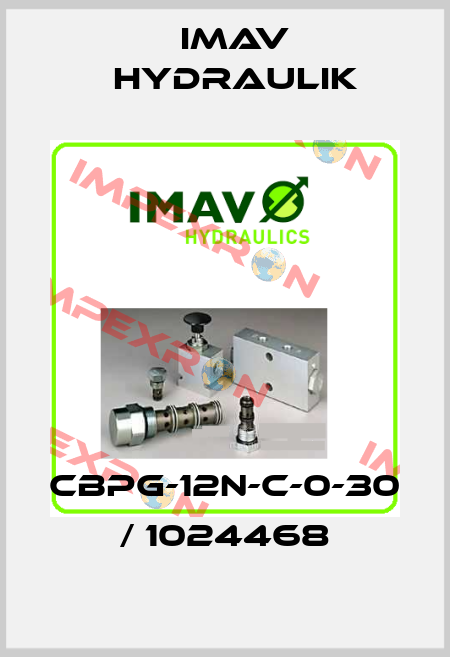 CBPG-12N-C-0-30 / 1024468 IMAV Hydraulik