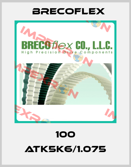 100 ATK5K6/1.075 Brecoflex
