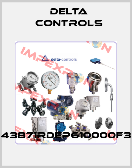 43871RDEP610000F3 Delta Controls