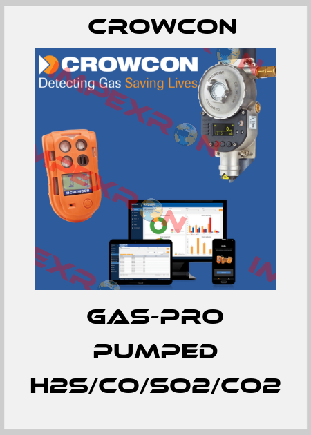 Gas-Pro Pumped H2S/CO/SO2/CO2 Crowcon