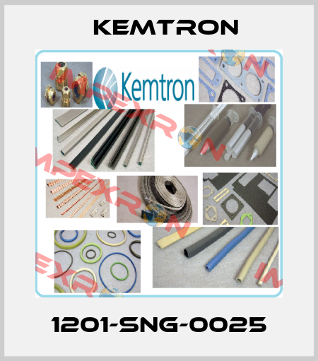 1201-SNG-0025 KEMTRON